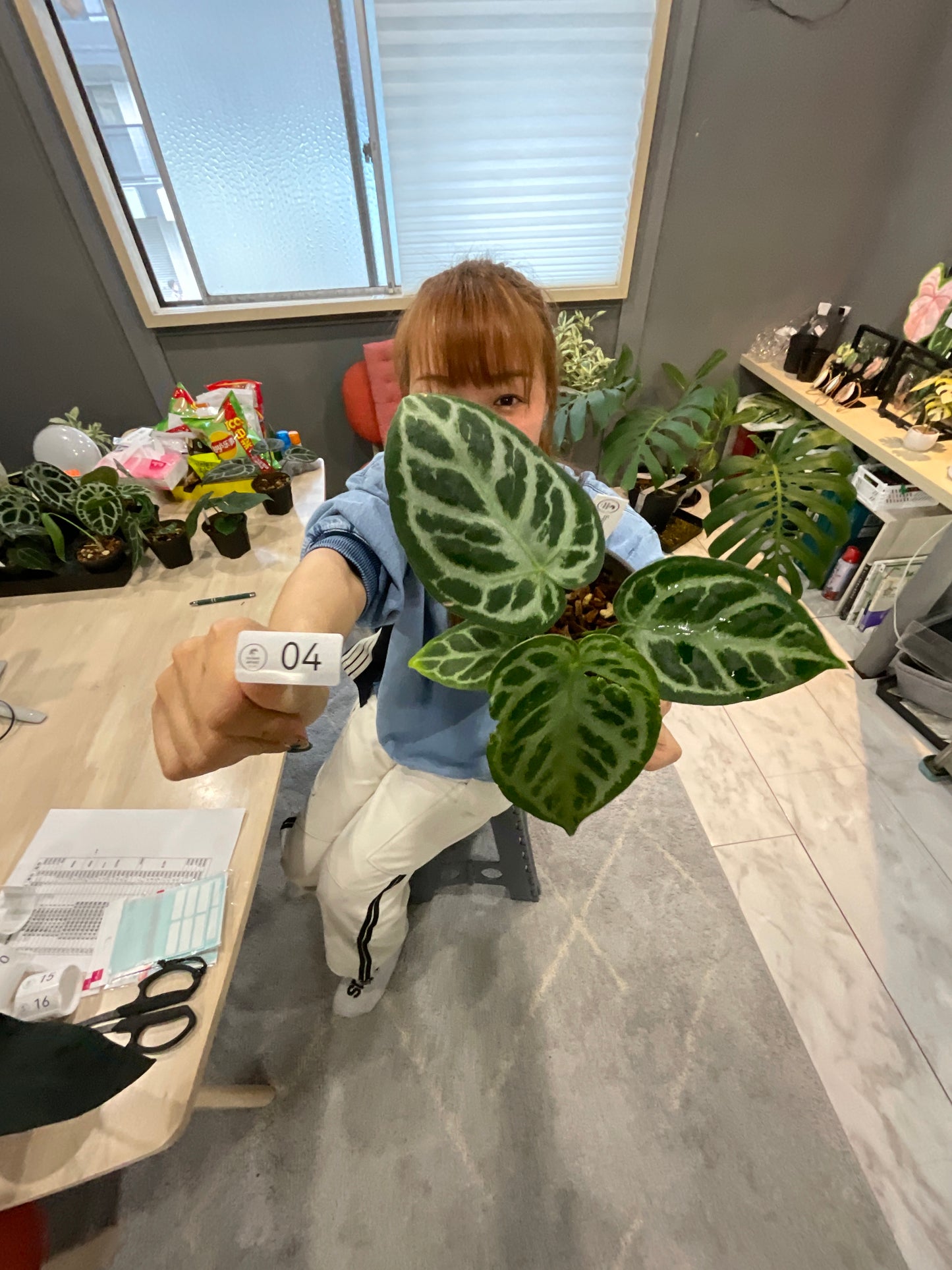 04