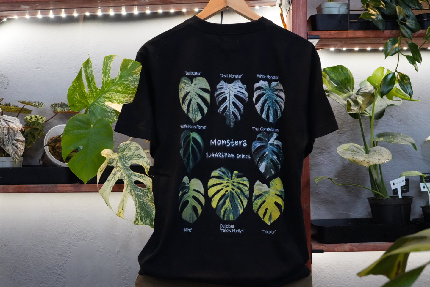S&P モンステラ　tシャツ