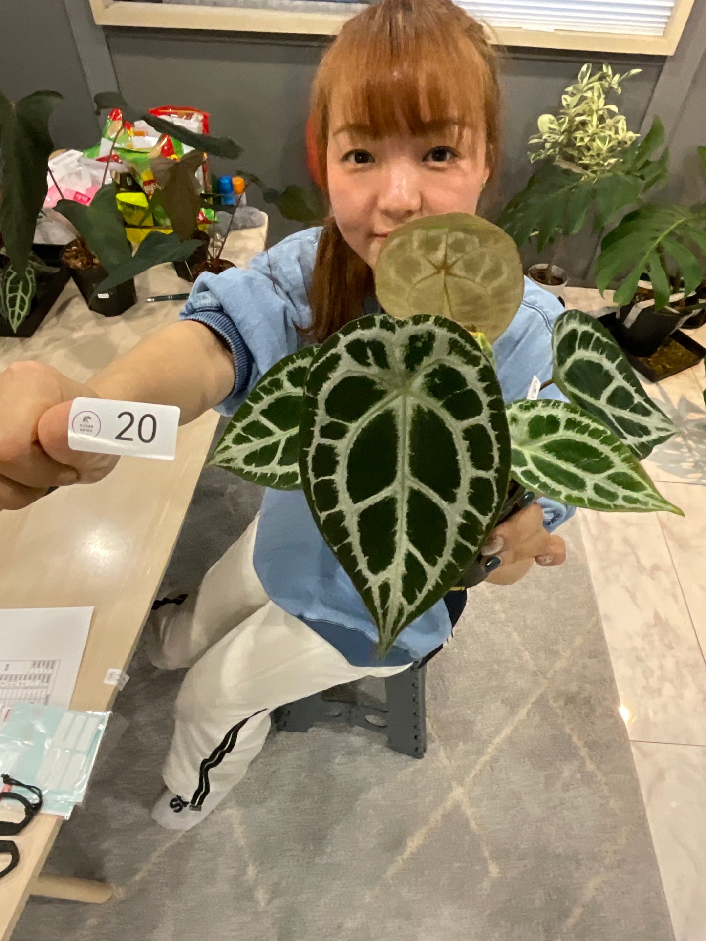 20