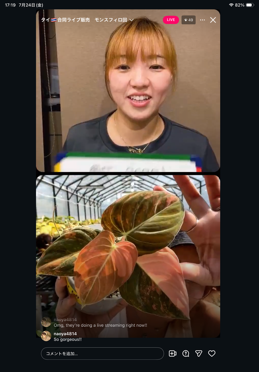 0 pot 1