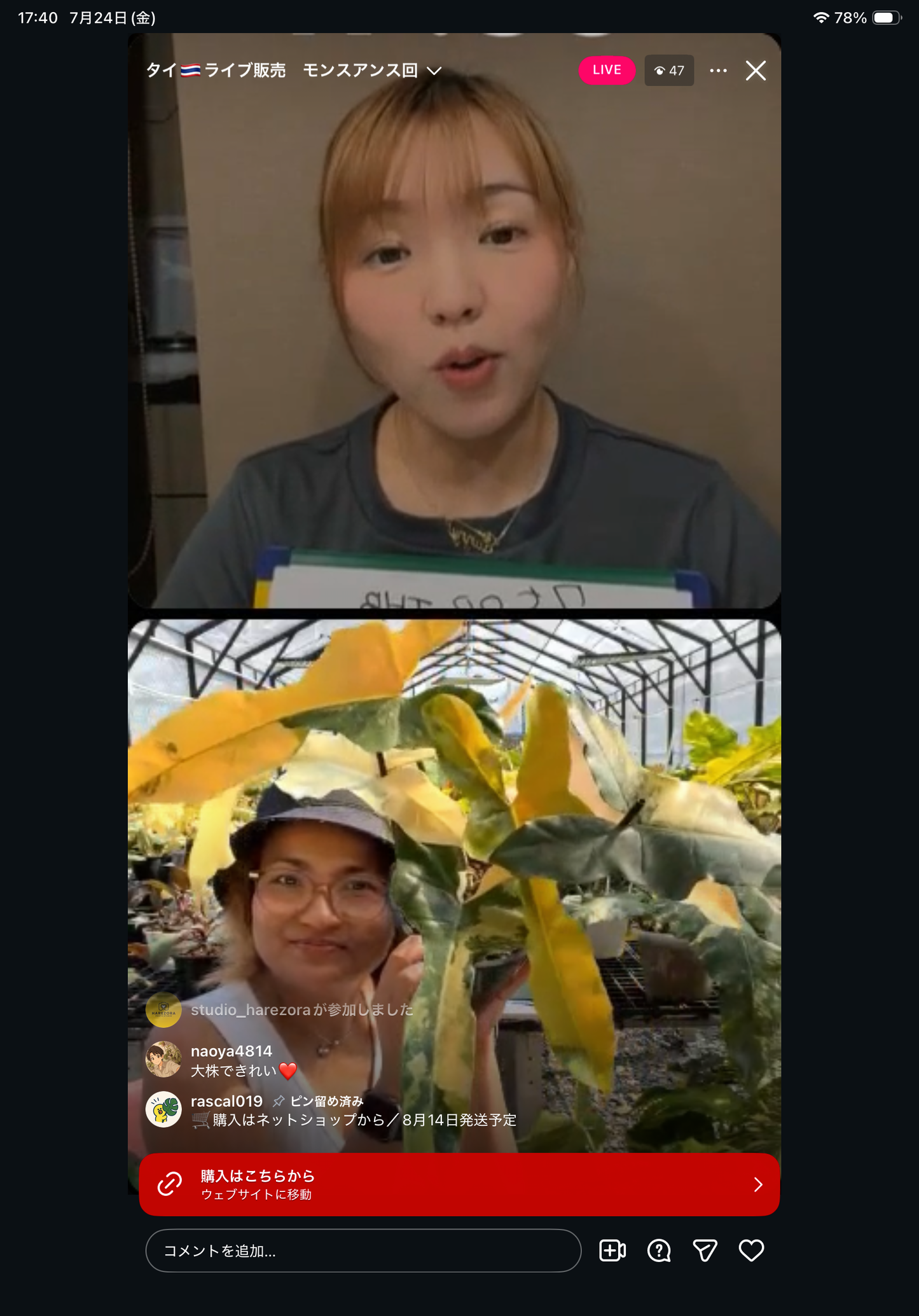 0 pot 4
