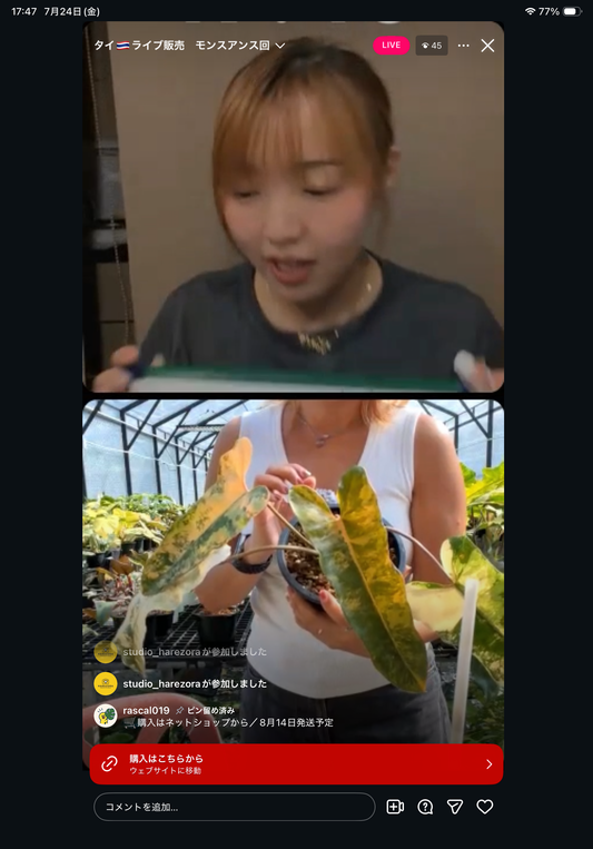 0 pot 6