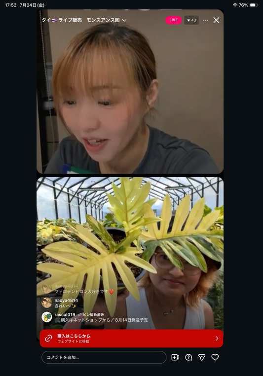 0 pot 7