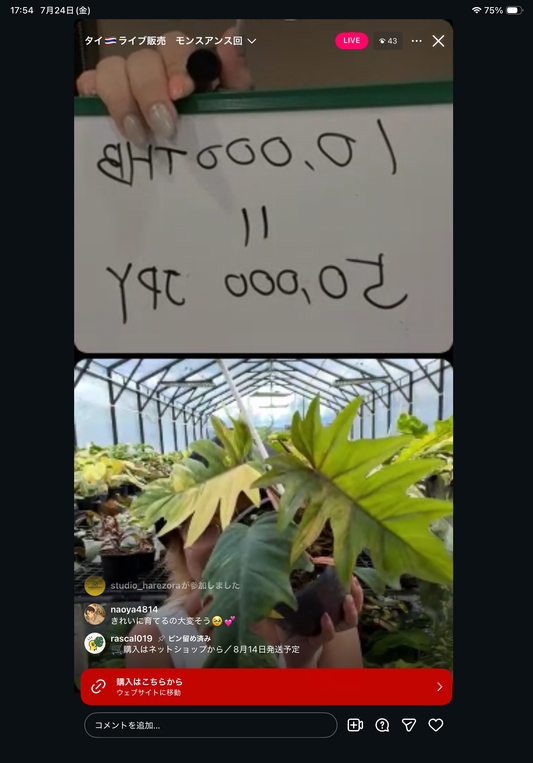 0 pot 8