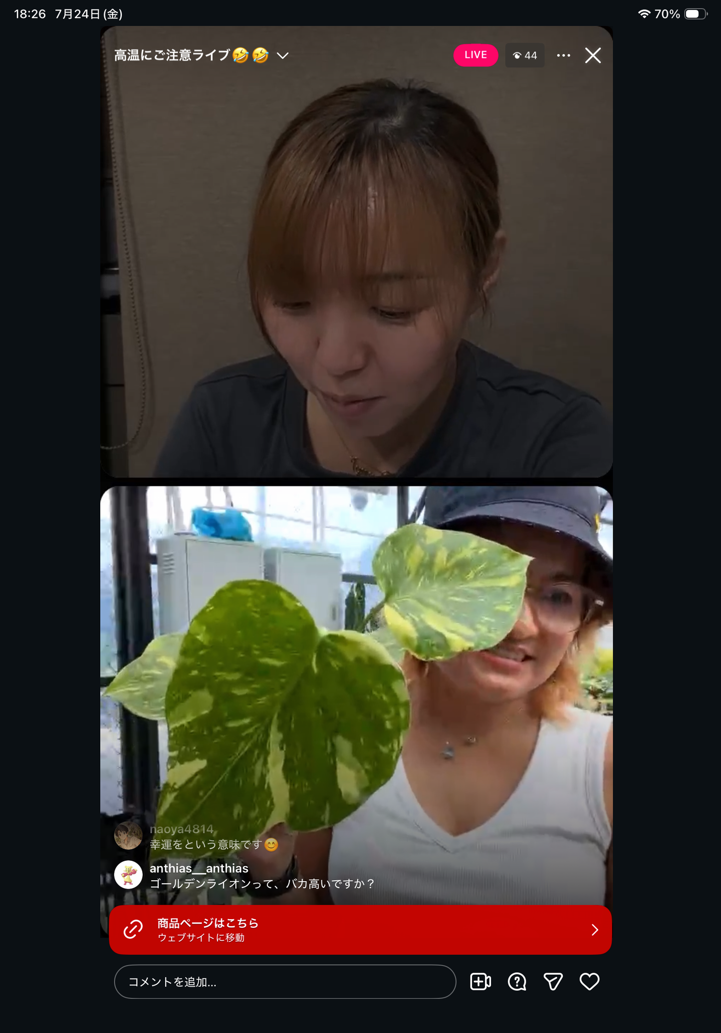 0 Pot 13