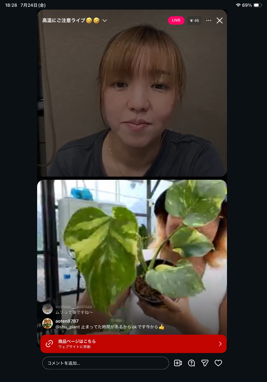 0 Pot 14