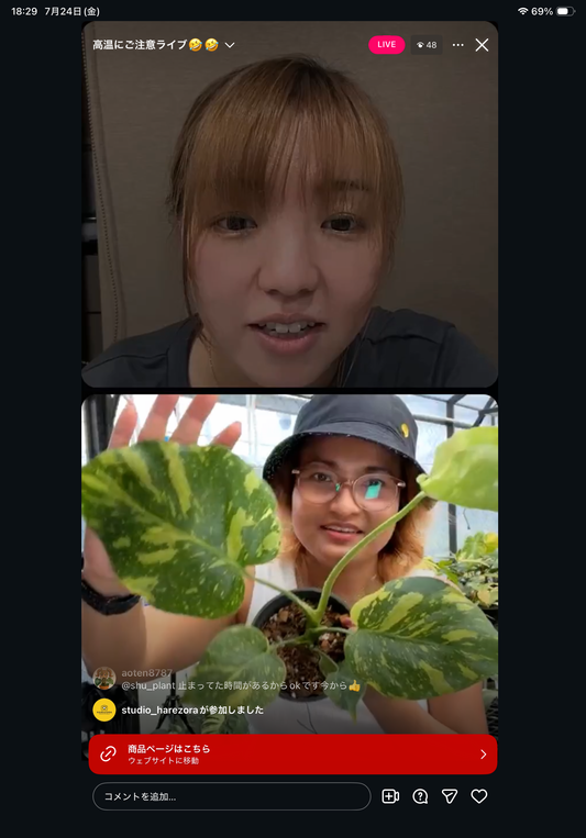 0 Pot 15