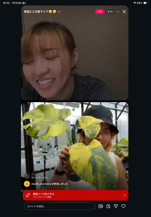0 Pot 17
