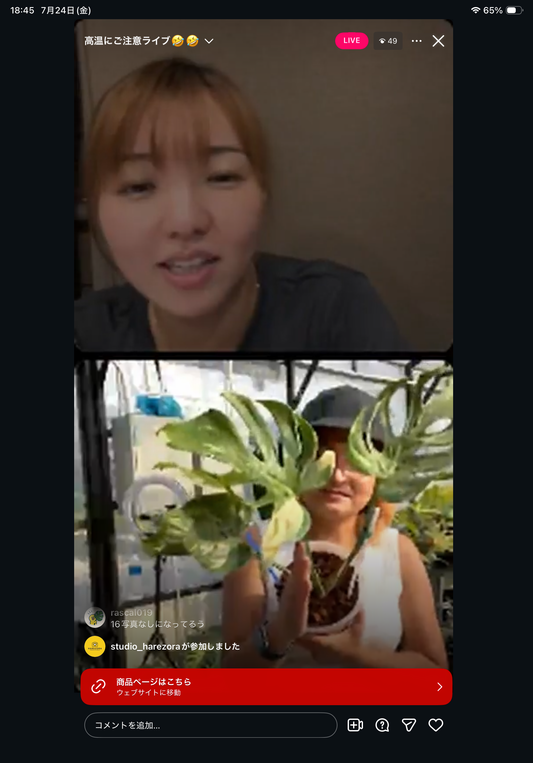 0 pot 20