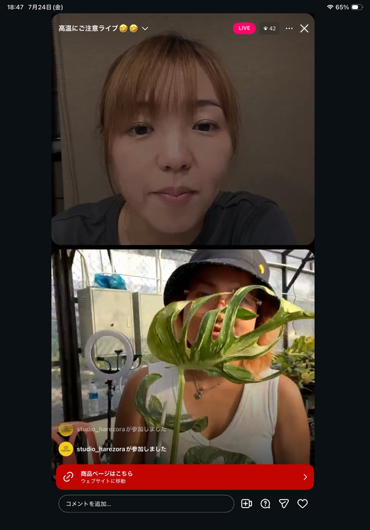 0 pot 21