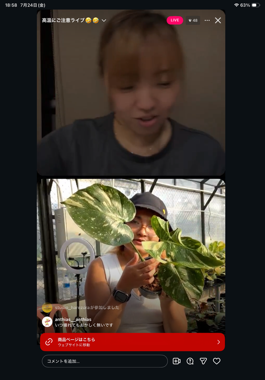 0 Pot 23
