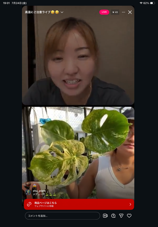 0 pot 24