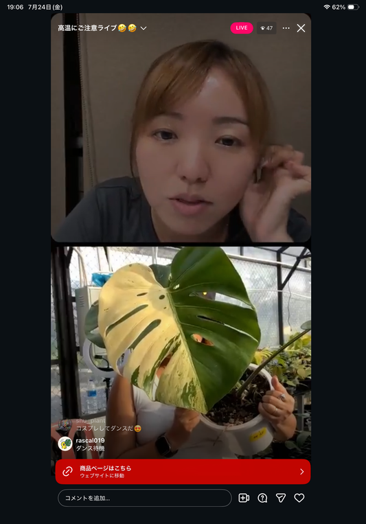0 Pot 25