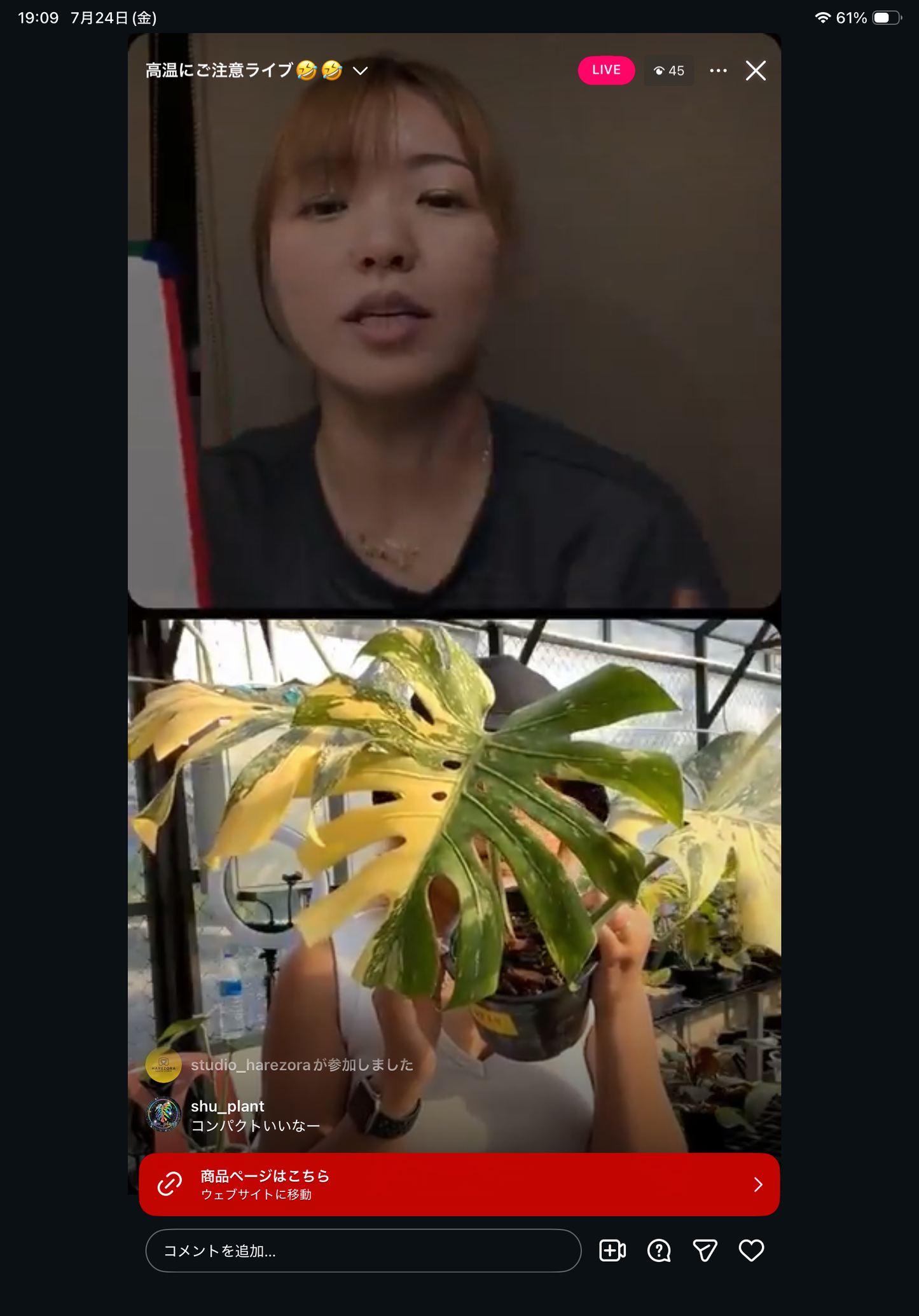 0 Pot 26