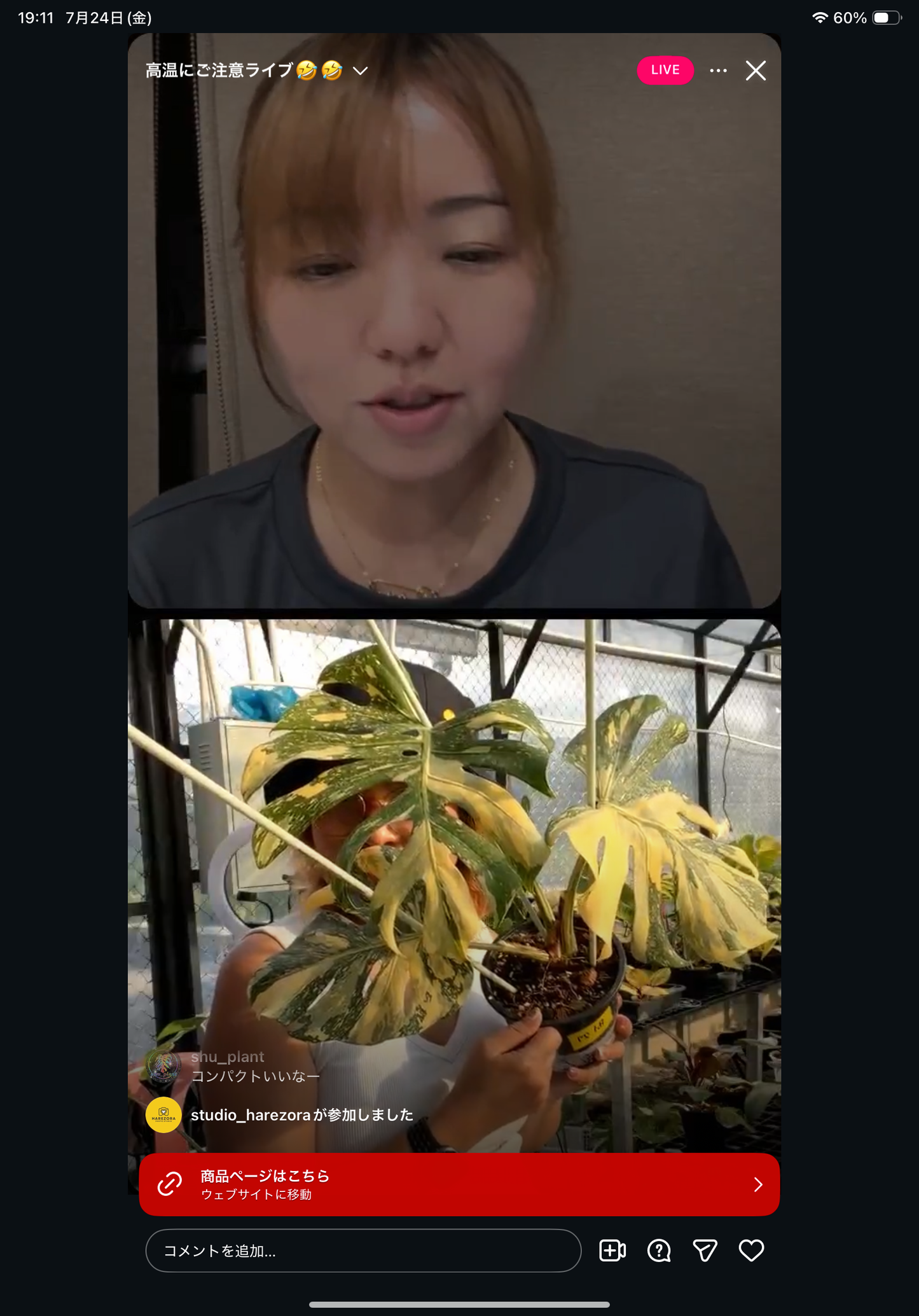 0  Pot 27