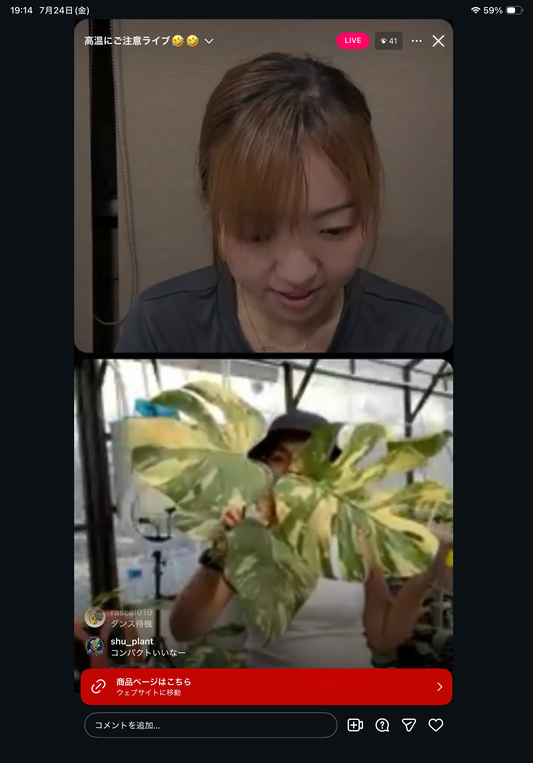 0 Pot 28