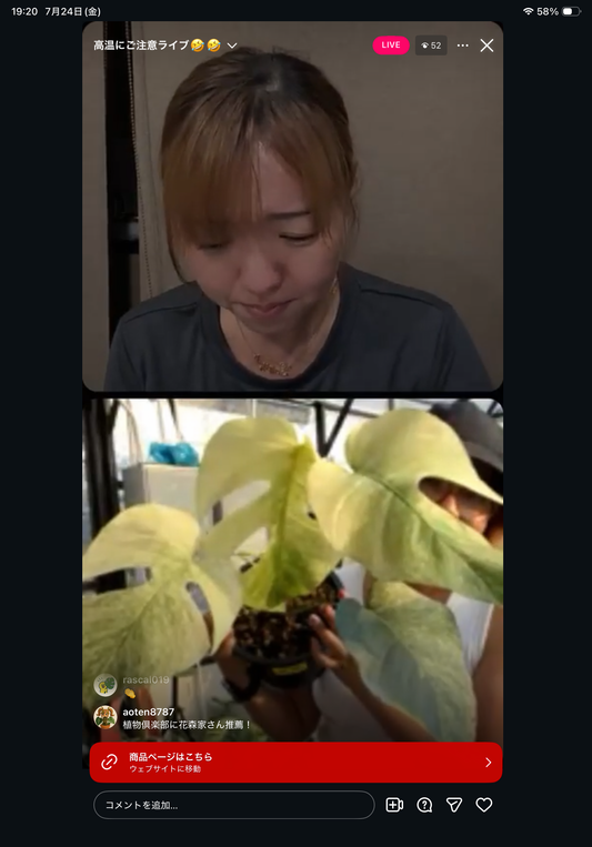 0 Pot 30