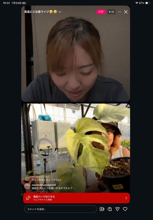 0 Pot 31