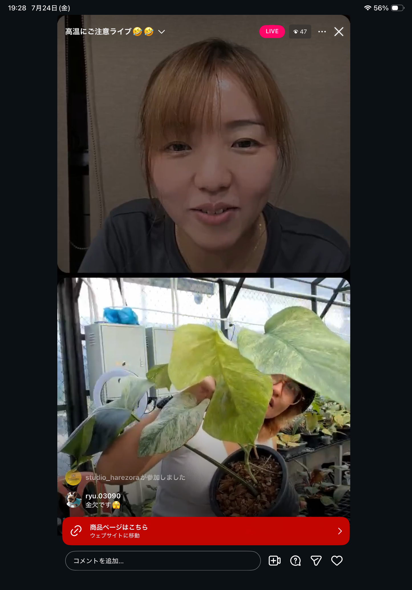 0 Pot 34