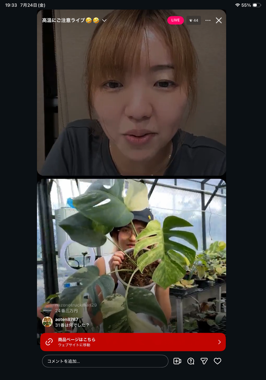 0 Pot 35