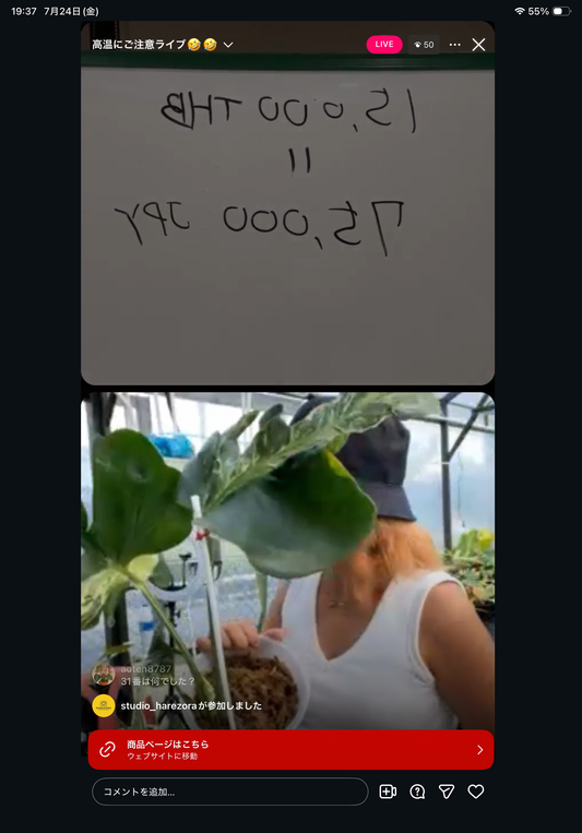 0 Pot 36
