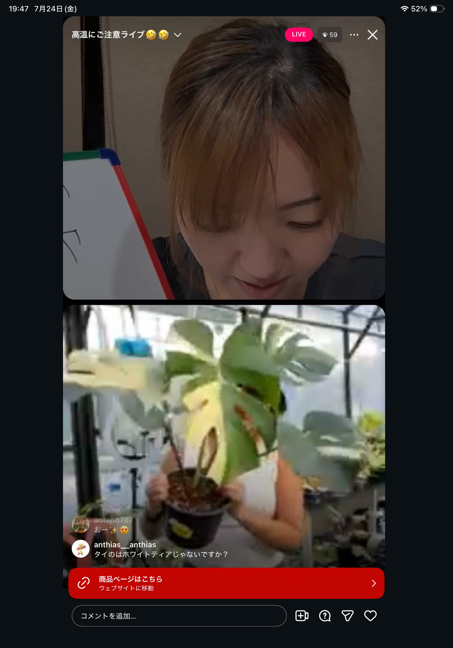 0 Pot 38