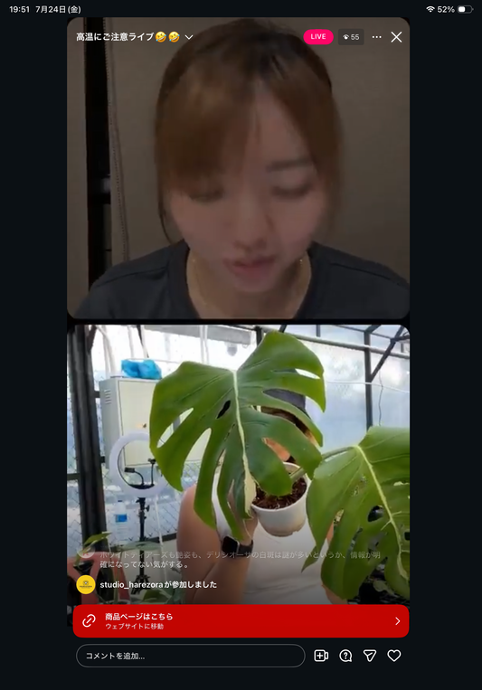 0 Pot 39
