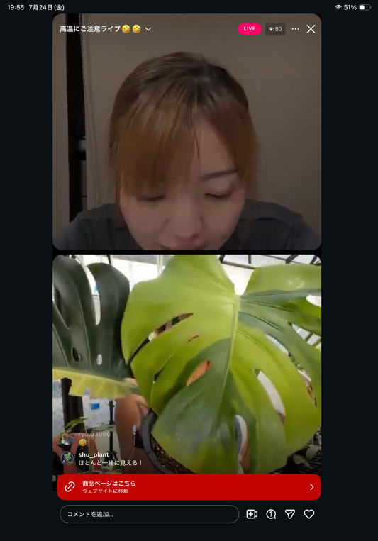 0 Pot 40