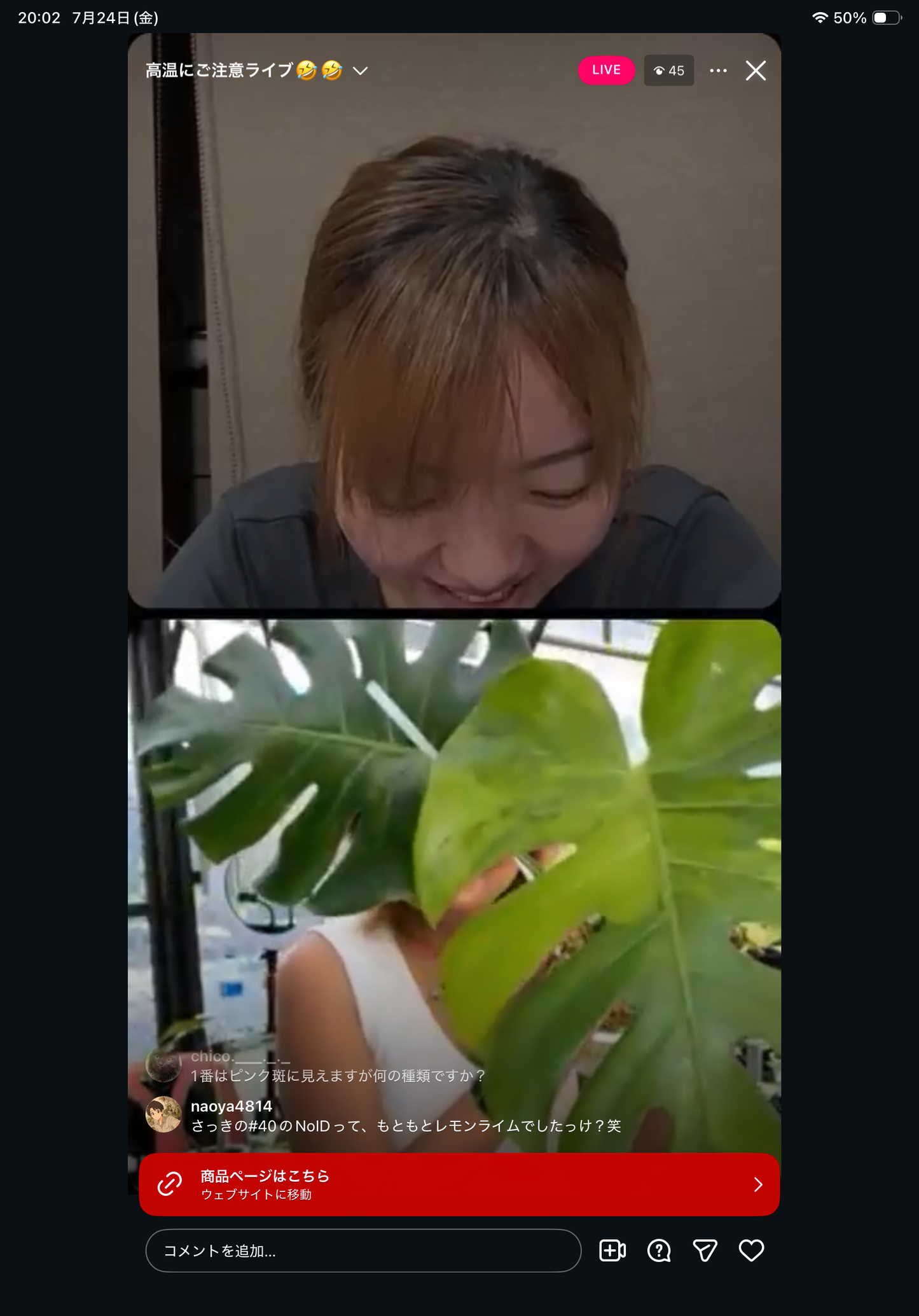 0 Pot 41