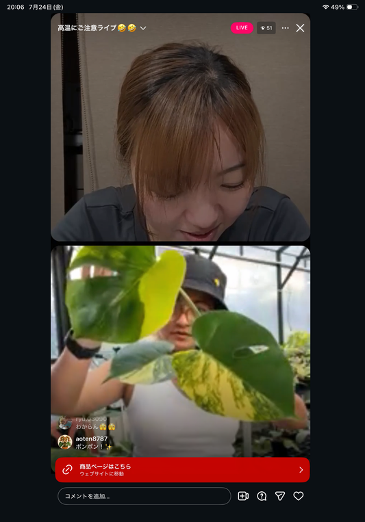 0 Pot 42