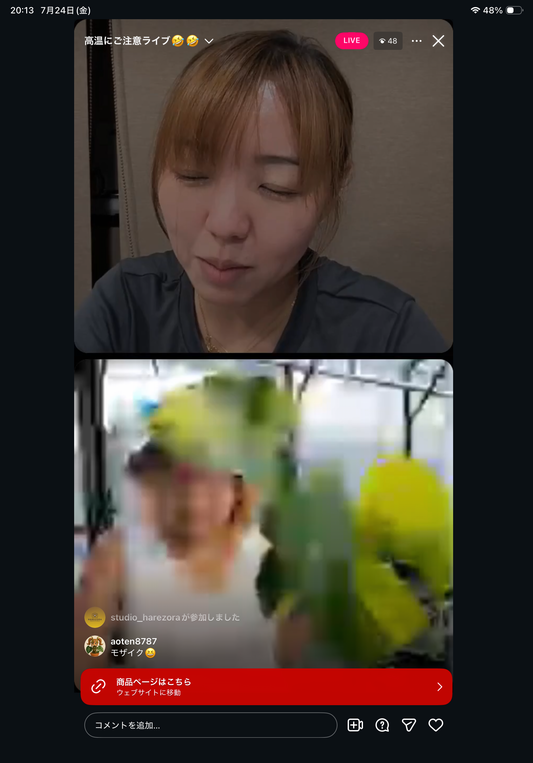 0 Pot 43