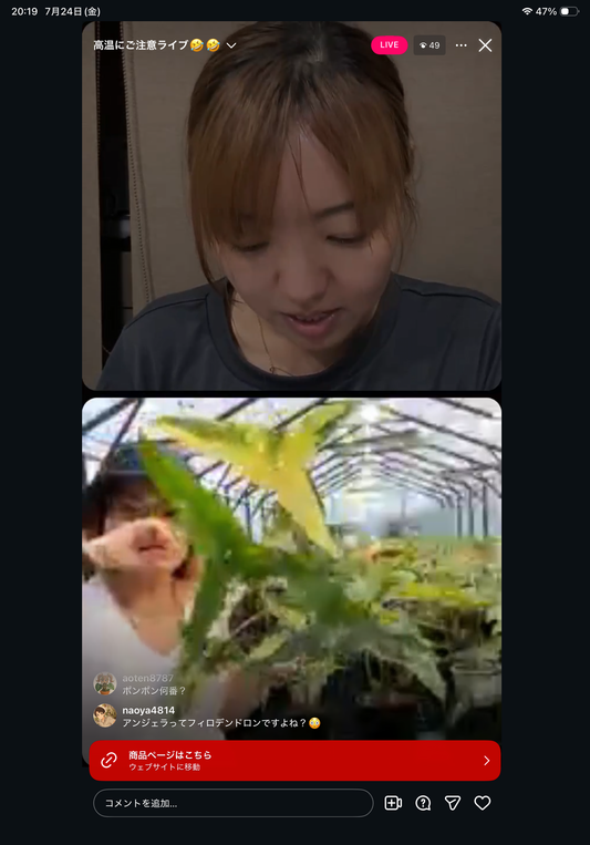 0 Pot 44