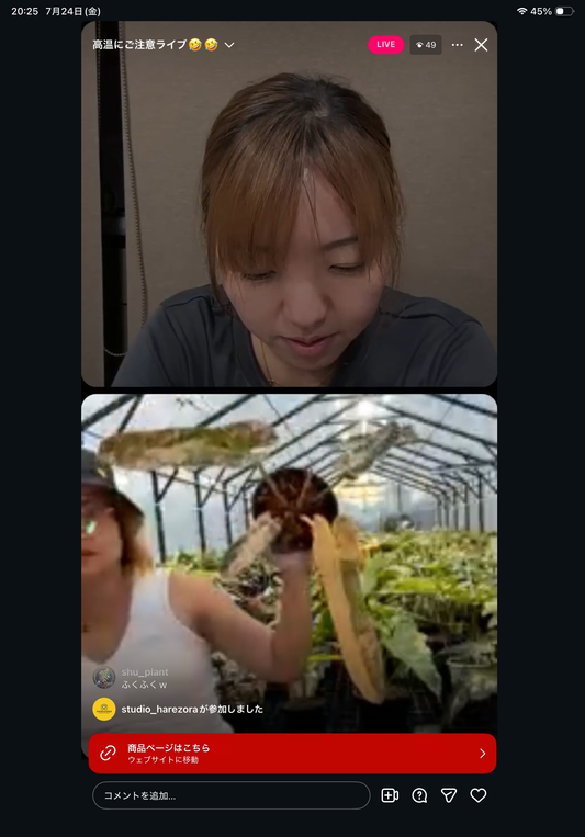 0 Pot 46
