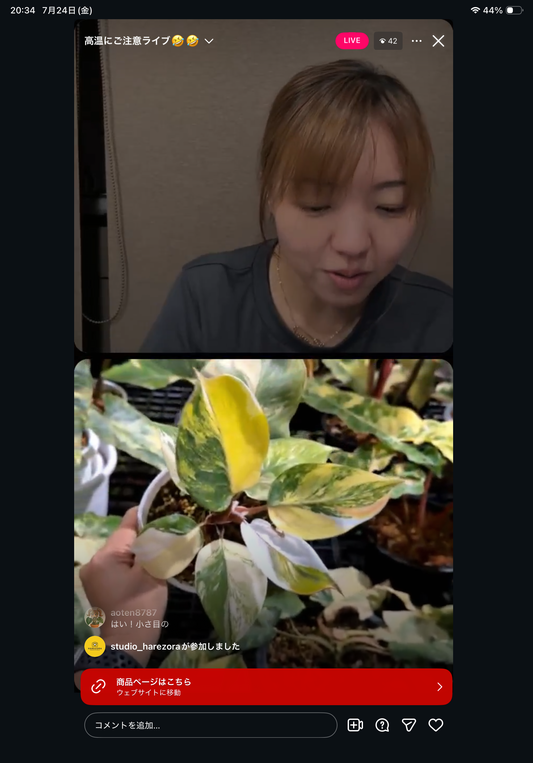 0 Pot 47