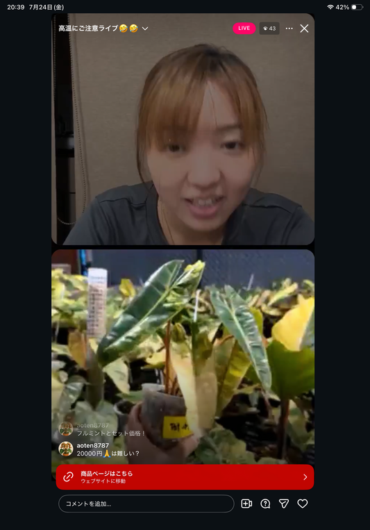 0 Pot49