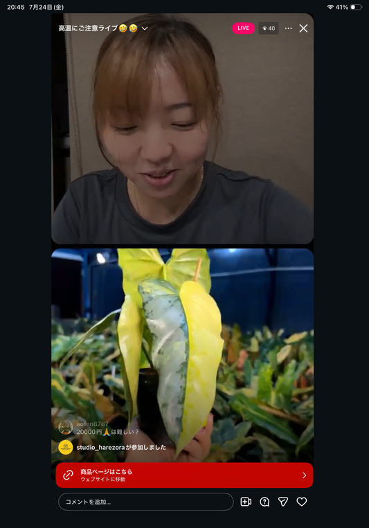 0 Pot 50