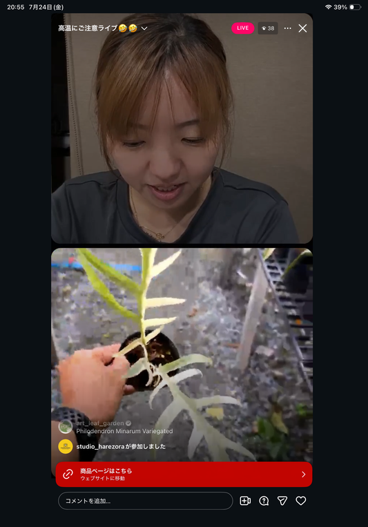 0 Pot 53