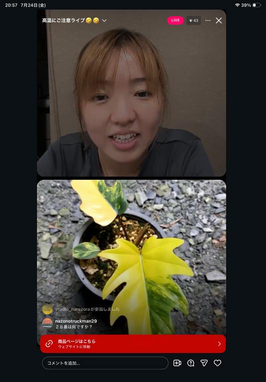 0 Pot 54