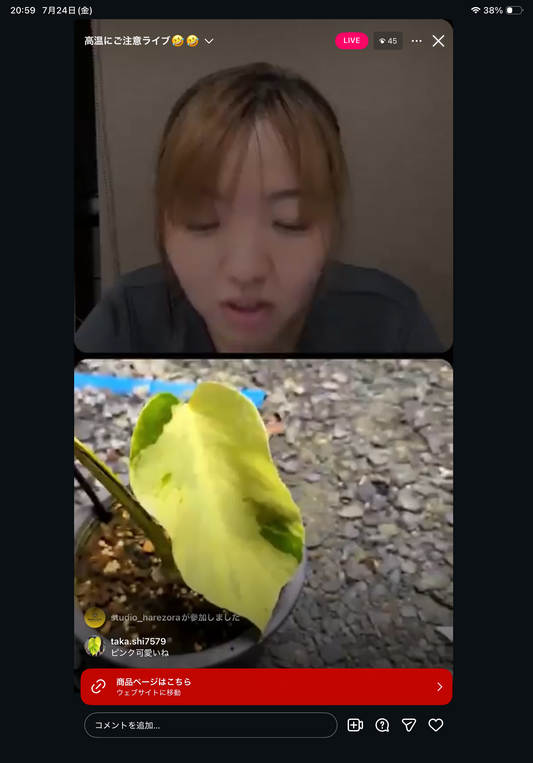 0 Pot 55