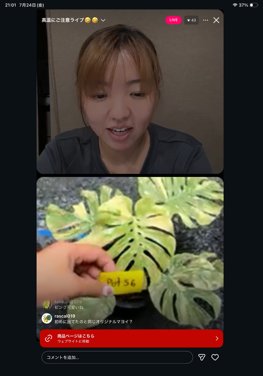 0 pot 56
