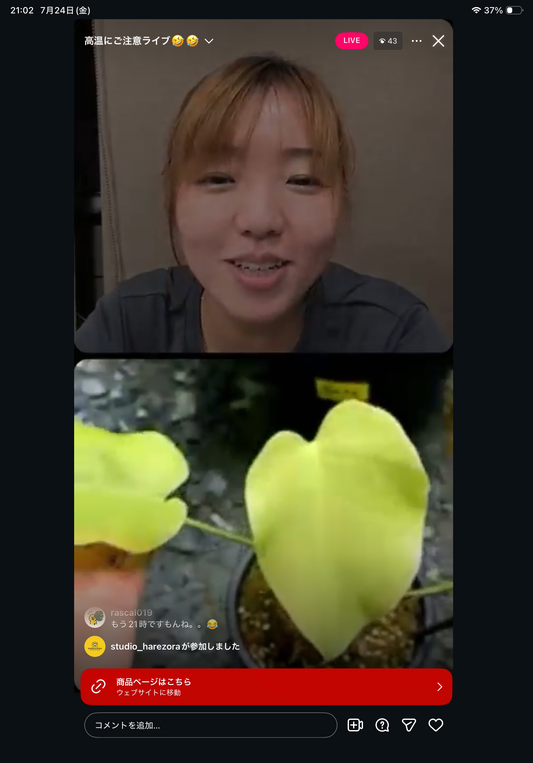 0 Pot 57