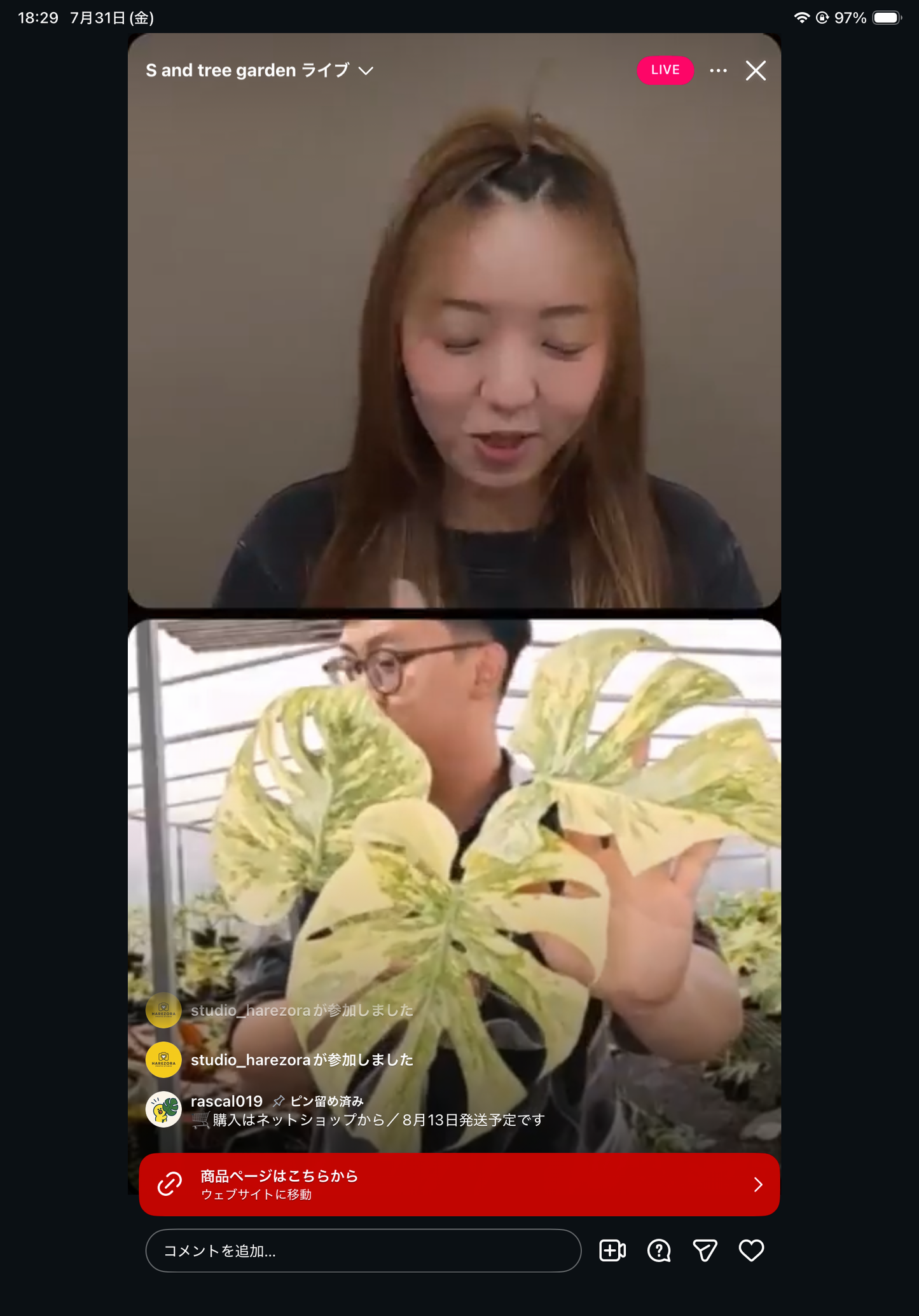 Pot 3