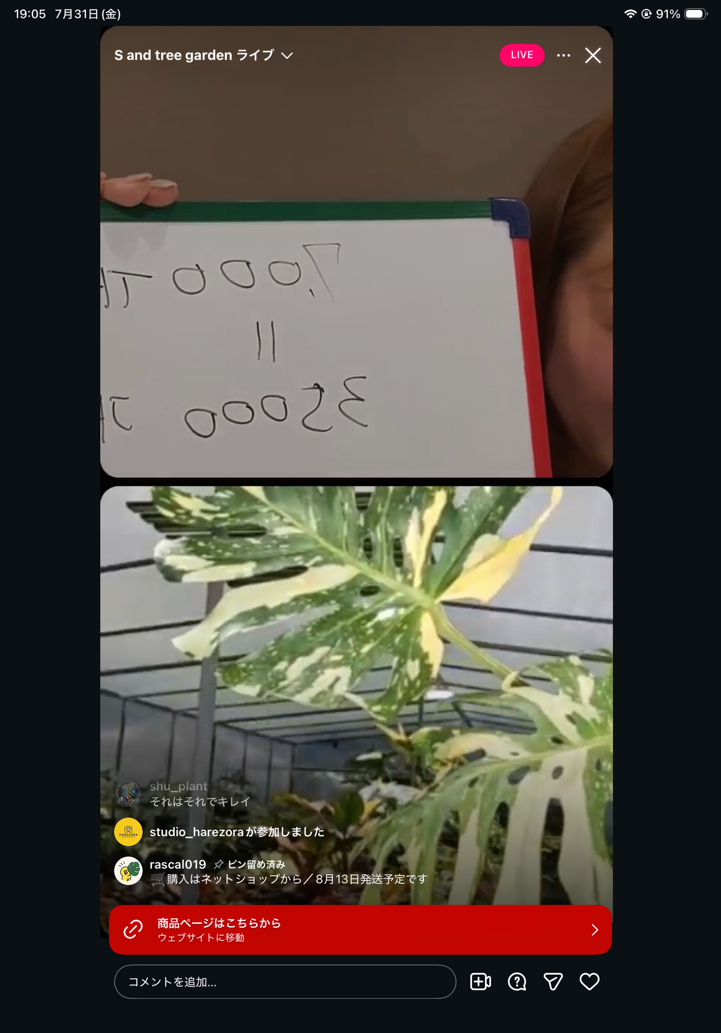 Pot 11