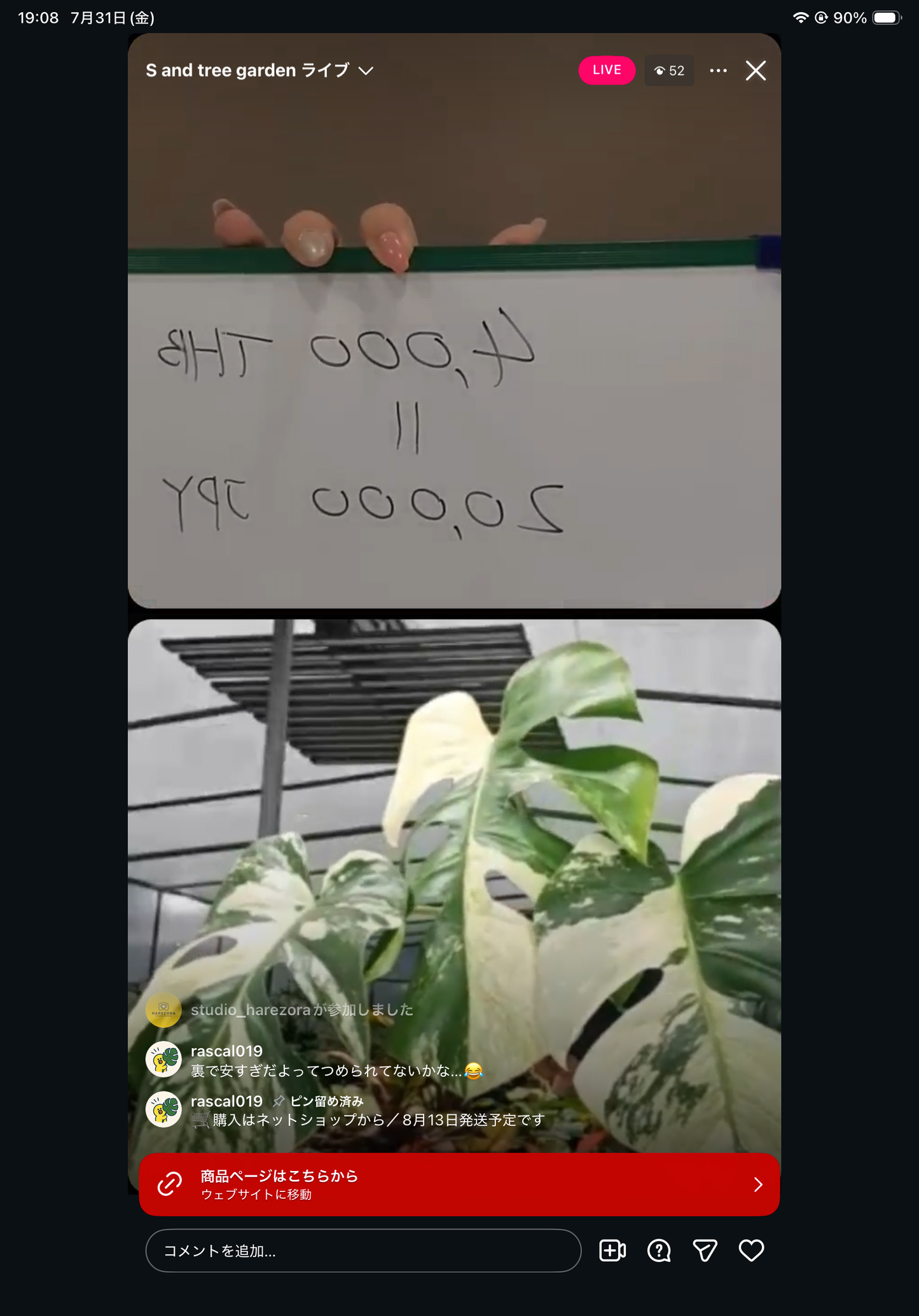 Pot 12