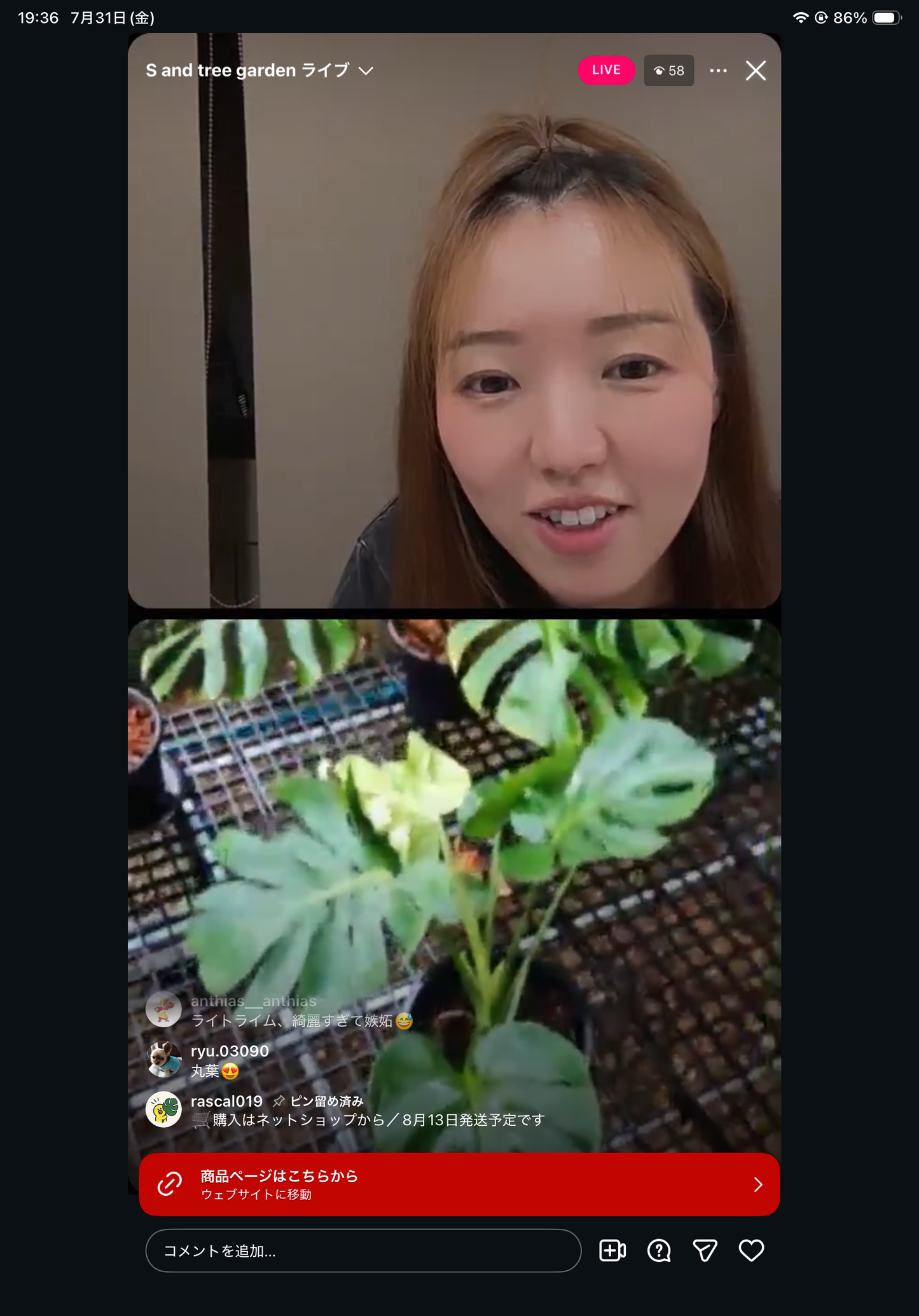 Pot 16
