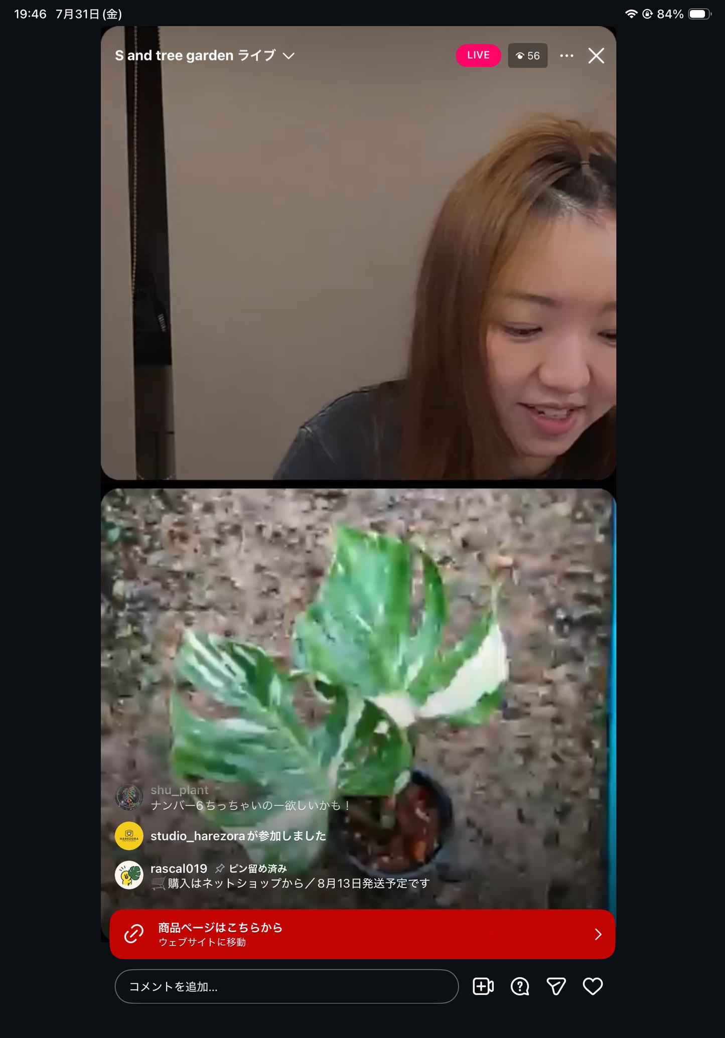 Pot 18