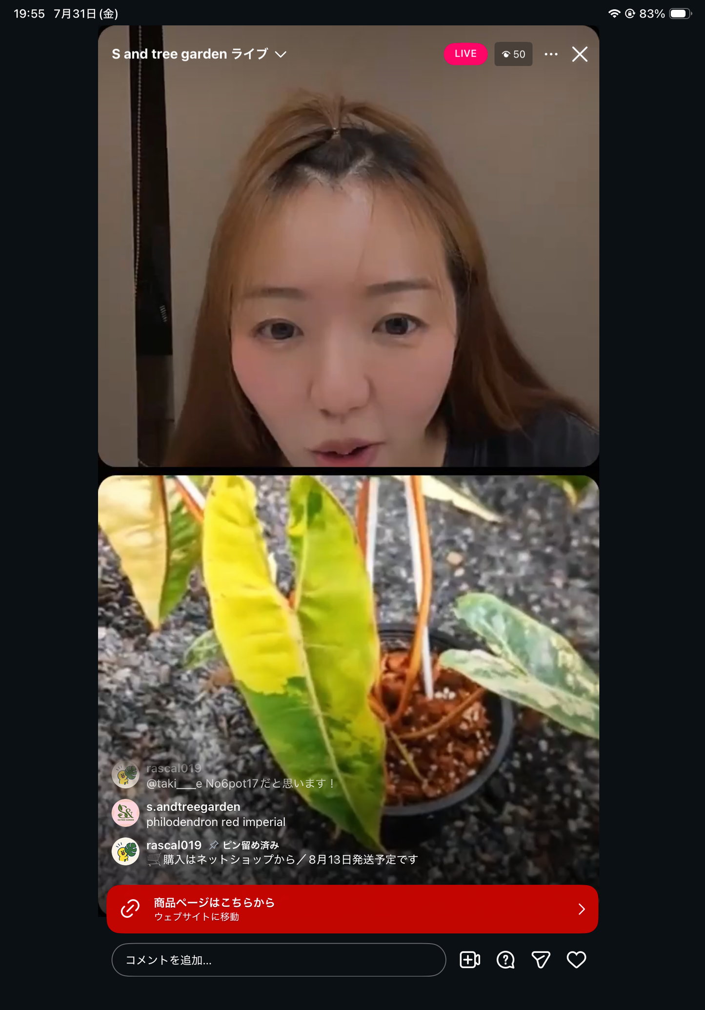 Pot 19