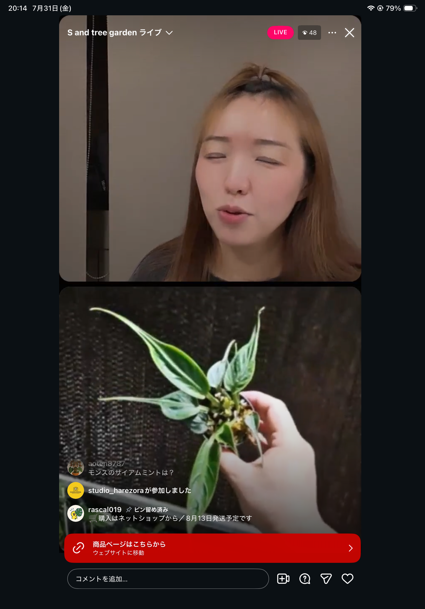 Pot 23