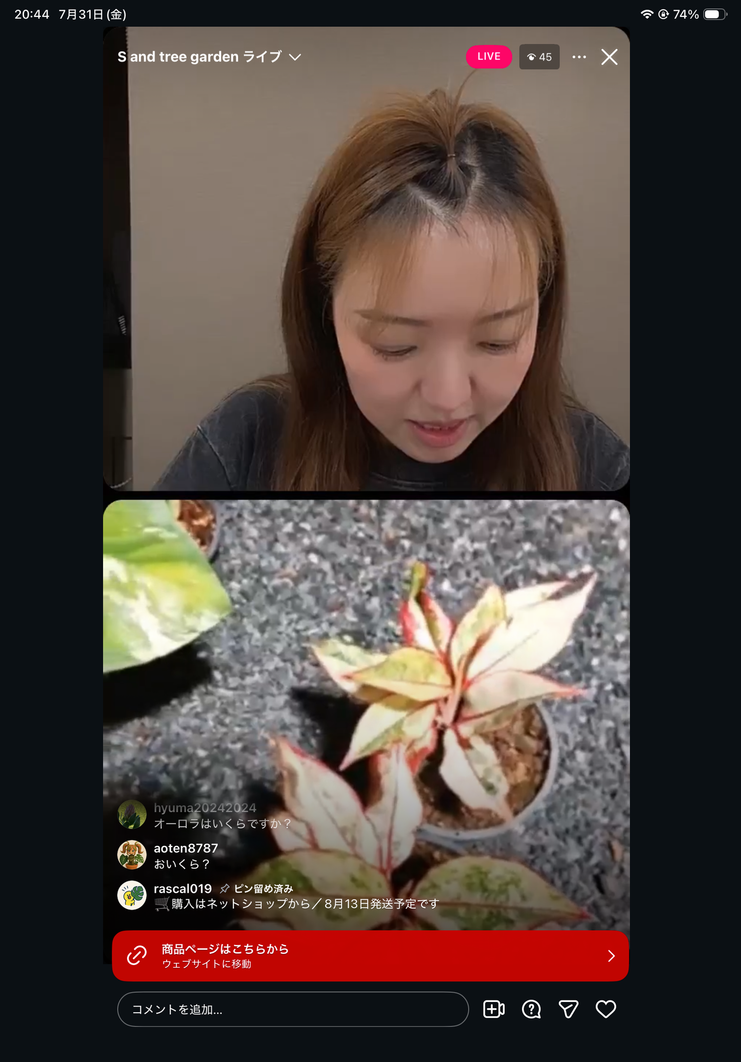 Pot 28